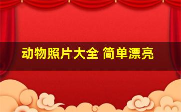 动物照片大全 简单漂亮